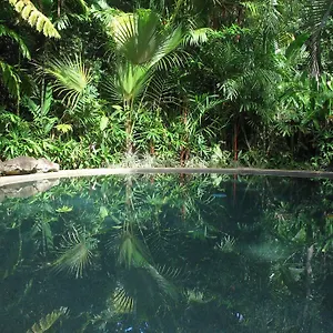  Lodge Rainforest Retreat Australia